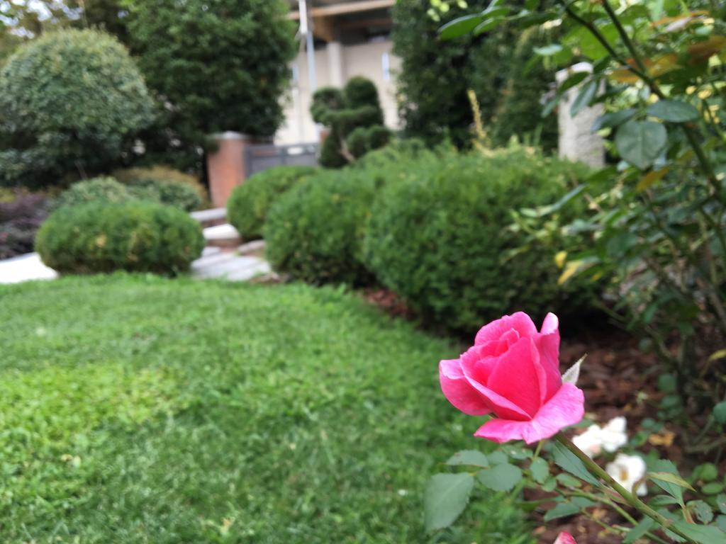 Rosa Del Grappa Panzió Kültér fotó